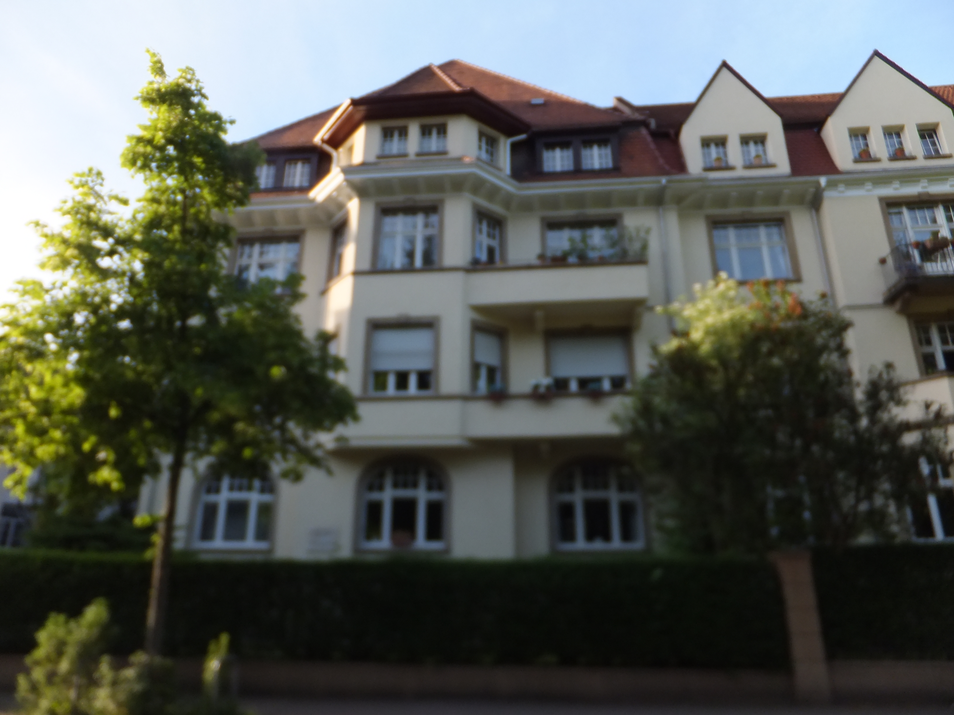 DSCF9678.JPG